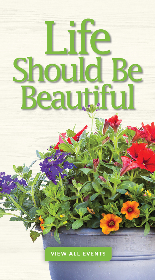 Life Should Be Beautiful