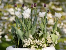 fall-bulbs-pot