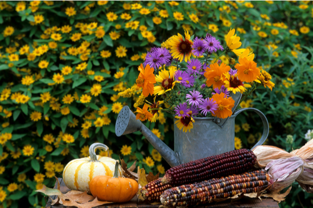 fall-season-planting-spring