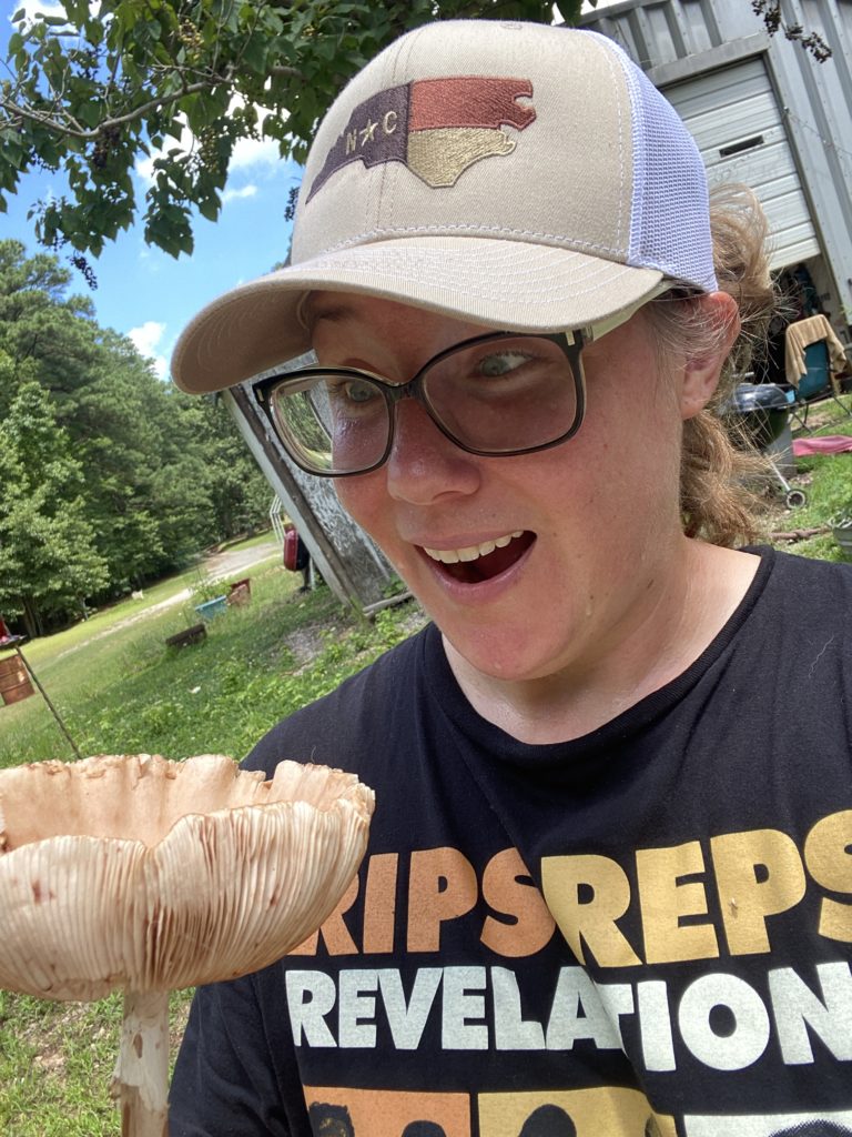 mushroom forage north carolina shadetree homestead